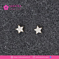 Diamond Earring Code D5XVFL Berlian Natural