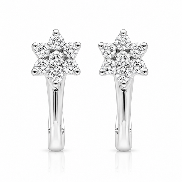 Diamond Earring - Natural Diamond | Code D6X9DN